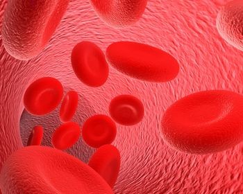 bloodcells