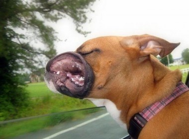 CPAP