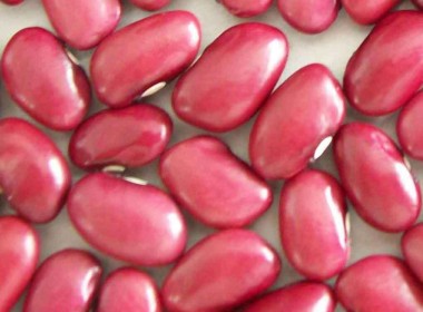 Sell-Red-Kidney-Bean